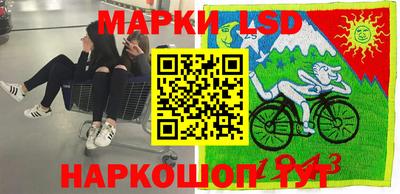 амф Донской
